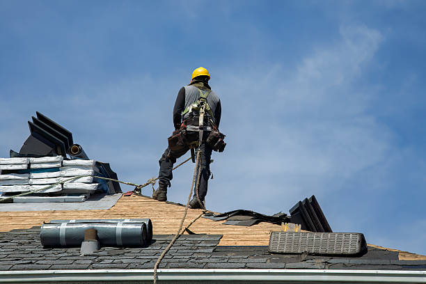 Professional Flat Roof Repair technician working in New Ulm, MN